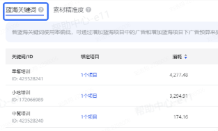 抖音广告蓝海投放关键词 抖音广告蓝海投放关键词