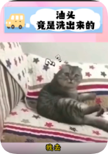 抖音广告低质案例12