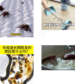 抖音广告低质案例7