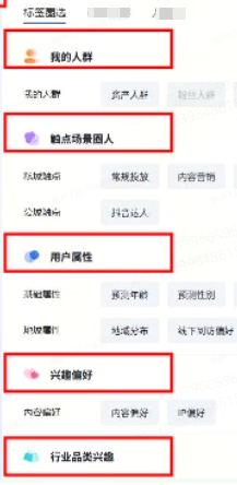 抖音广告平台标签圈选 抖音广告平台标签圈选